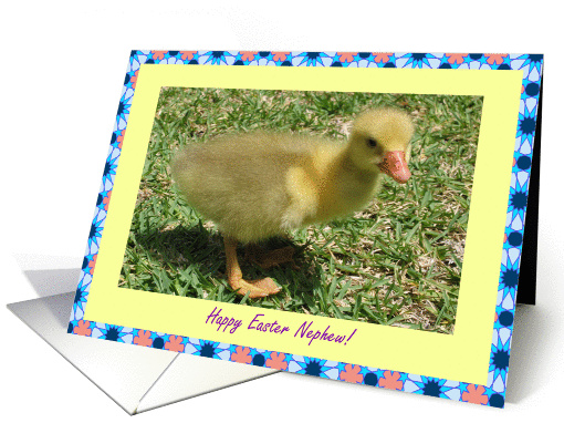 Nephew Happy Easter - Duckling card (393799)