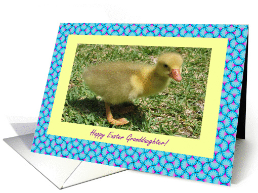 Granddaughter Happy Easter - Duckling card (393807)