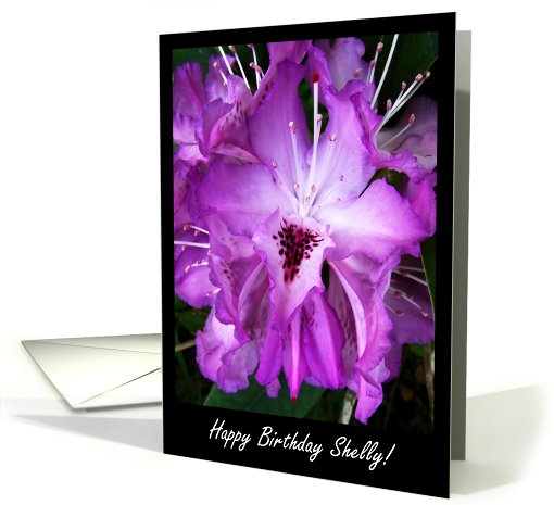 Happy Birthday Shelly! card (420093)