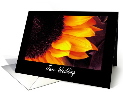 June Wedding - Save The Date Invitation card (430220)
