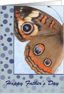 Happy Father’s Day Buckeye Butterfly card