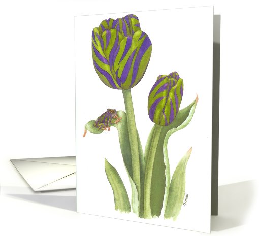 Purple Zebra Frog card (477353)