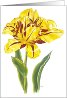 Tulip Flutter - Tulips & Angels card