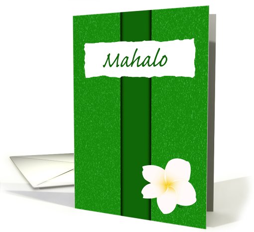 Plumeria Mahalo Green card (447931)