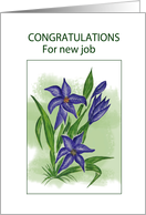 Blue Lilly.......Congrats For New Job card