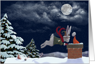 White Rabbit Christmas card