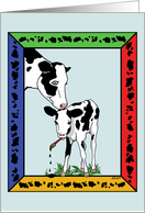 Congratulations New Parents - Cow Art card