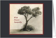 With Sincere Sympathy - Tree Drawing card