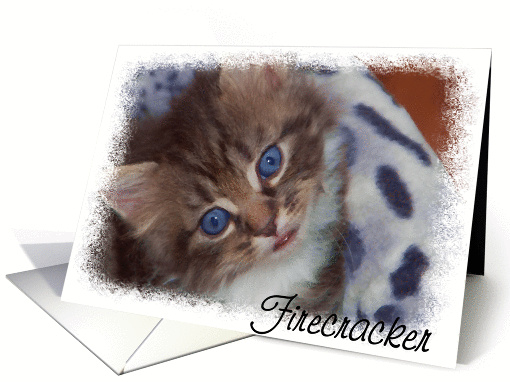 Firecracker card (395776)