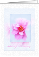 Pink wild rose on damascus background, wedding anniversary card