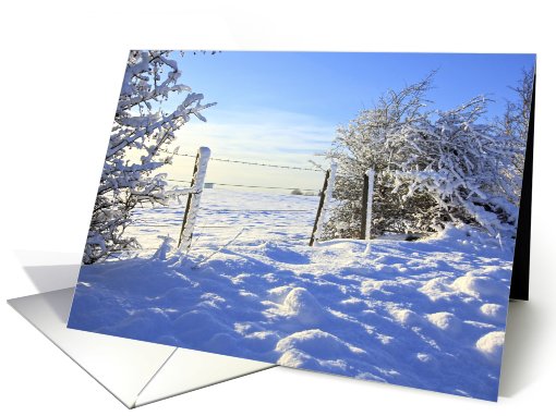 Winter in the fields of Scotland, photography, blank card (735570)