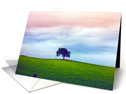 Lonely tree against beautiful summer sky card (735610)