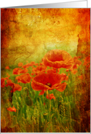 Vintage poppies, blank card