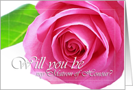 Will you be my Matron of Honour, pink rose close up card