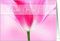 Lovely pink tulip, Thank you mum card