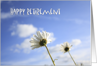 Daisy and the blue sky, Happy Retirement card