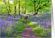 Bluebells heaven, blank card