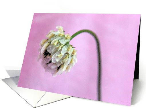 Happy Mother's Day card (410630)