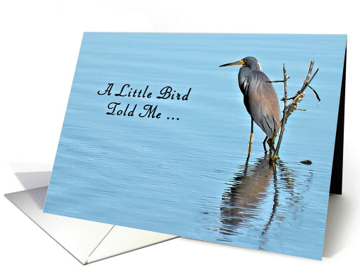Award, Outstanding Teacher with Tri-Colored Heron card (1070777)