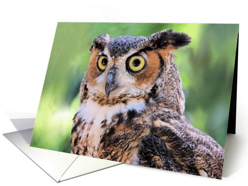 Great Horned Owl Blank Note card (1096452)
