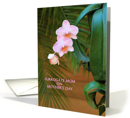 Mother's Day for Surrogate Mom card (1348240)