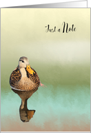 Just a Note Design of a Mottled Duck in Mist card