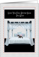 Get Well Soon for Your Pet Cat card