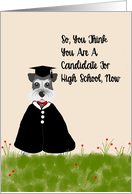 8th Grade Graduation with Schnauzer in Cap & Gown card