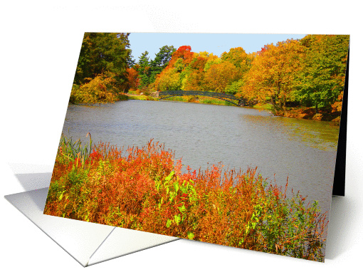 Thanksgiving, Scene of Small Pond, Fall Colors, for Neighbor card