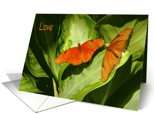 Relationships, Love, Julia Butterflies card (487205)
