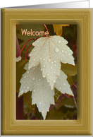 Welcome Home from Boot Camp, Beige Leaves & Water Droplets card