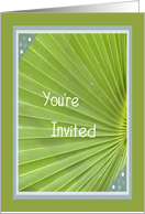 Invitation, Brunch, Green Palm Leaf, Blue Framing card