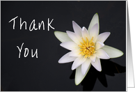 Thank You, for Bridesmaid’s Gift, White Water Lily card