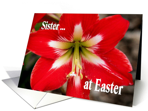 Easter Greetings for Sister with Red Lily card (580327)
