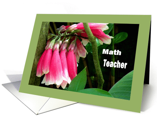 Teacher Appreciation Day, Math, Pink Orchids card (605739)