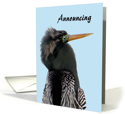 Retirement Announcement, Anhinga Close Up card (642054)