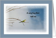 Birthday, Small Parrot with a Cloudy Blue Sky card