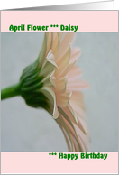 April Birthday with Monthly Flower, Lt Pink Gerber Daisy card