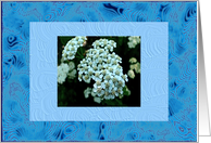 Wedding Congratulations with Blue Flowers and Card
