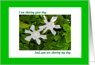 Shared Birthday two White Gardenias card