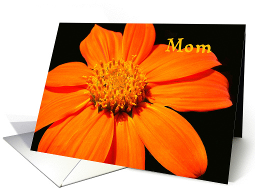 Mother's Day Card with Colorful Orange Flower card (894130)