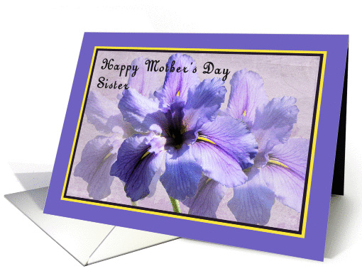 Mother's Day Card for Sister, Large Blue Irises card (894131)
