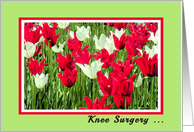 Knee Surgery, Red and White Tulips card