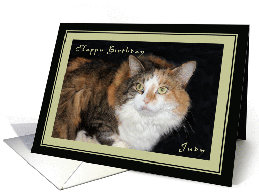 Birthday Card with Calico Cat for Judy card (932345)