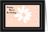 Card with Daisies for April Birthday in Peach, White and Black card