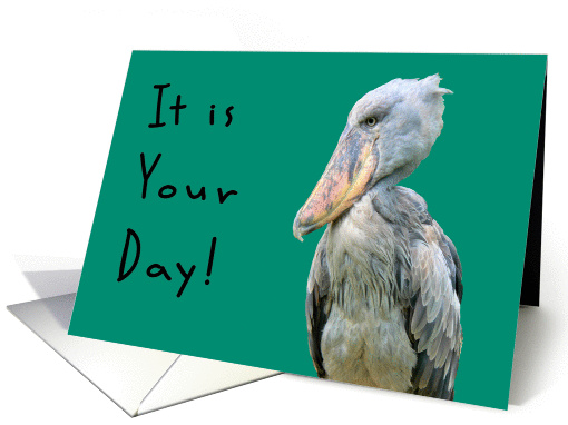 National Grouch Day with Grouchy Bird card (966635)