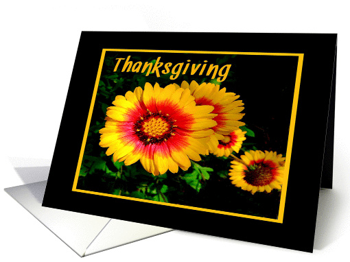 Thanksgiving, Colorful Gold and Red Flowers card (971009)