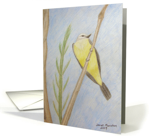 Western Kingbird - Painting card (441513)