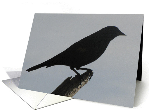 Redwing Blackbird Sillouette card (542858)