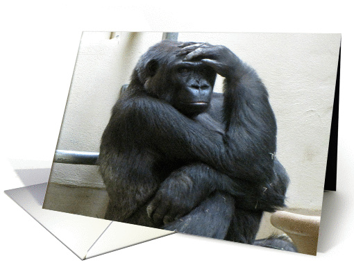 Silverback Gorilla - Strike a Pose! card (767574)